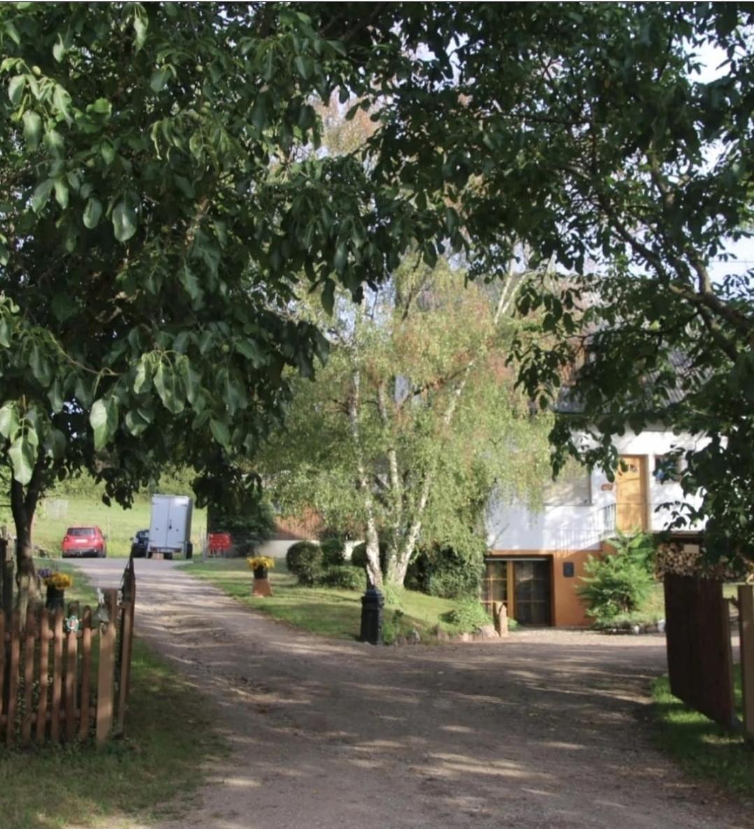 Sometimes Zimmer Gehaichnishof 7Born Maring-Noviand Exterior foto